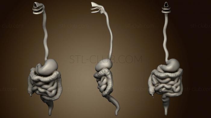 Статуэтки и статуи разные Muestra